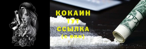 тгк Бронницы