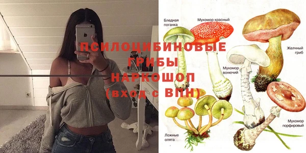 эйфоретик Белокуриха
