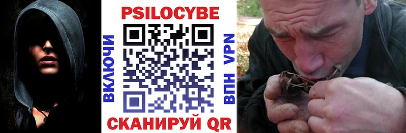 Галлюциногенные грибы Psilocybe  Люберцы 